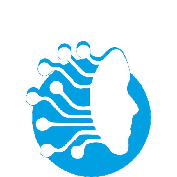Designed by: Liel Perets -Israel AI Revenue by Roitels